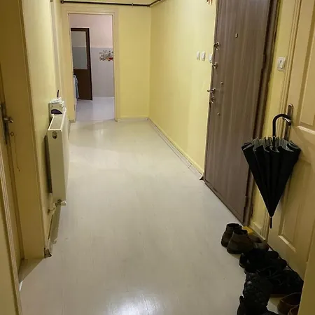 شقة A In The Flat